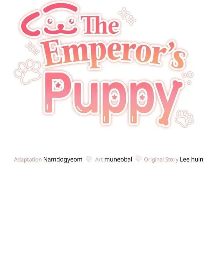 The Emperor