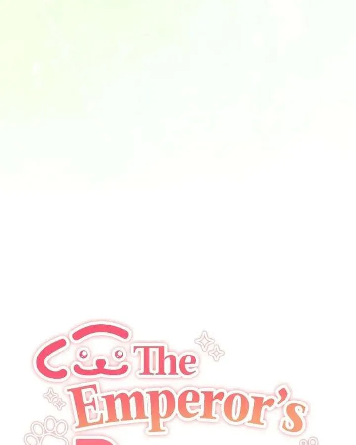 The Emperor