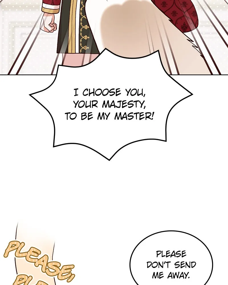 The Emperor