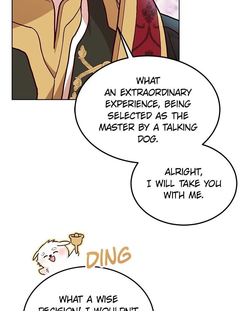 The Emperor