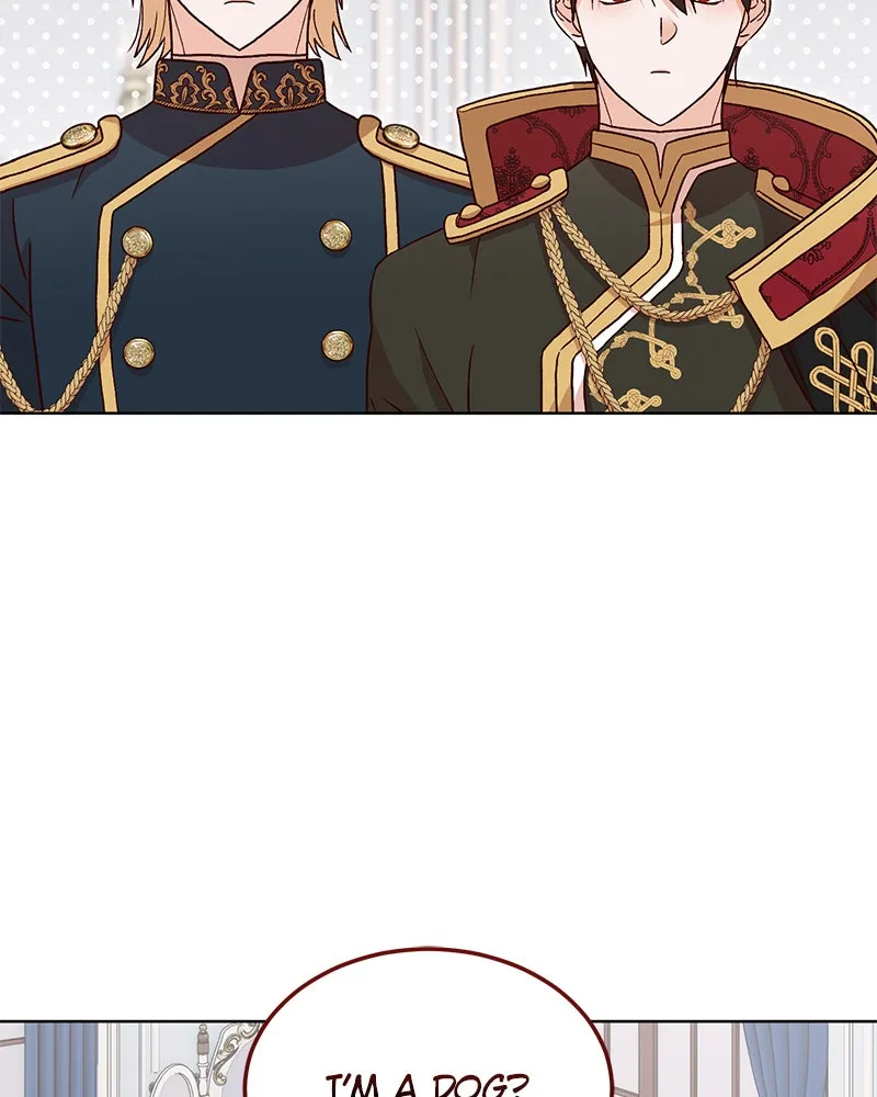 The Emperor