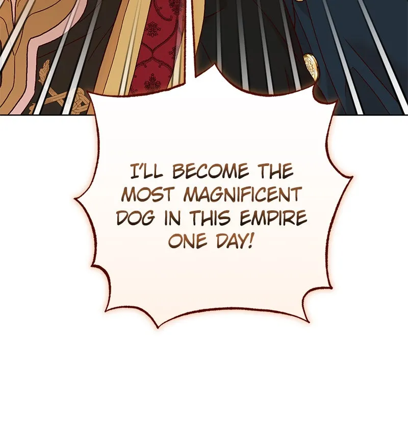 The Emperor