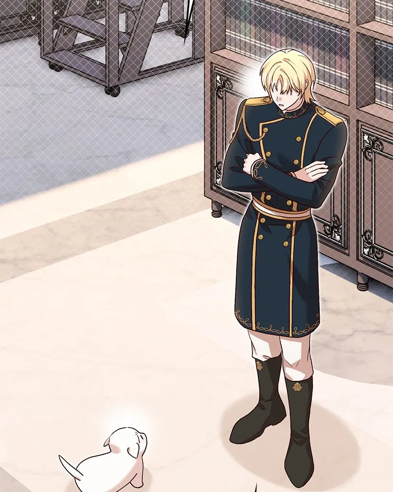 The Emperor