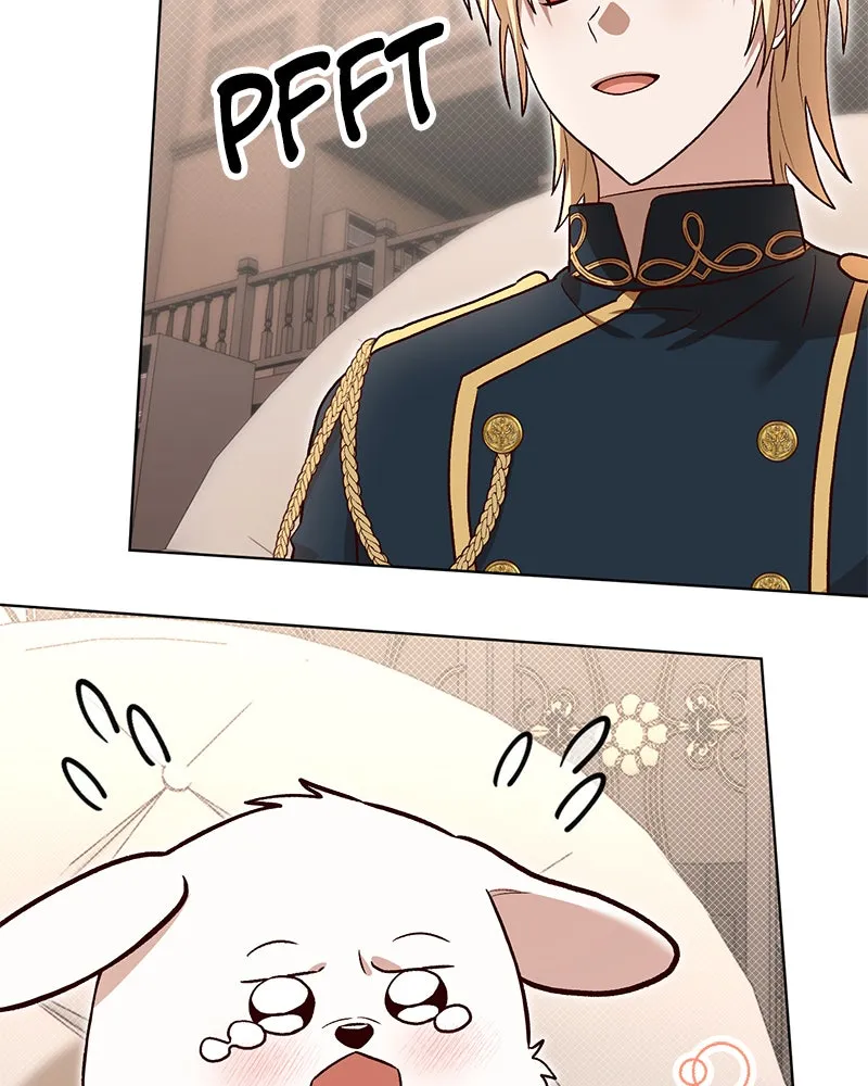 The Emperor