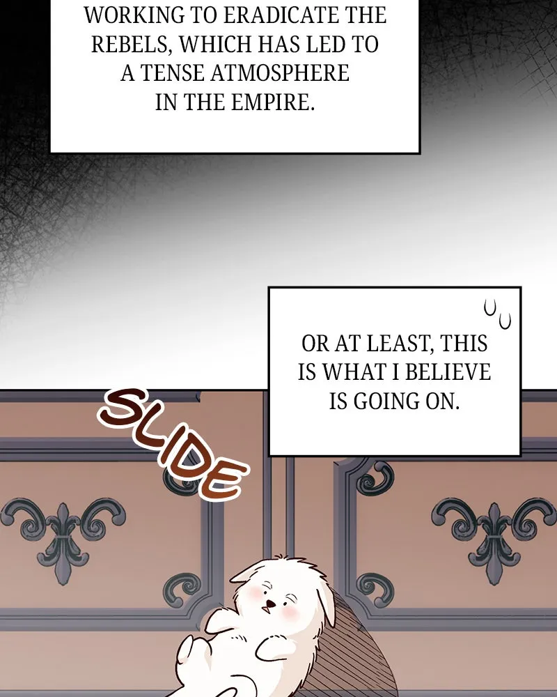 The Emperor