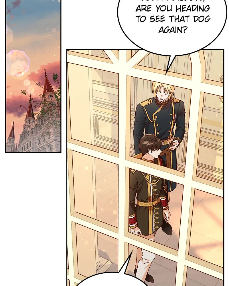 The Emperor