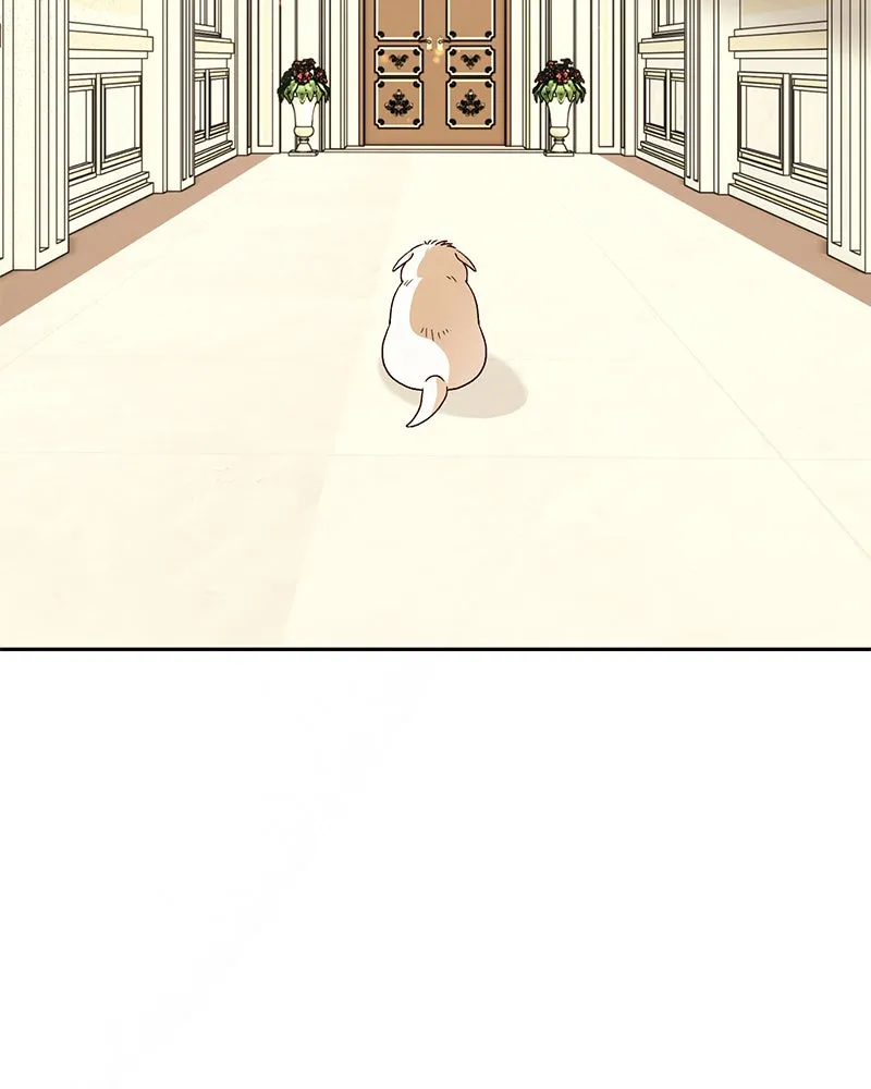 The Emperor