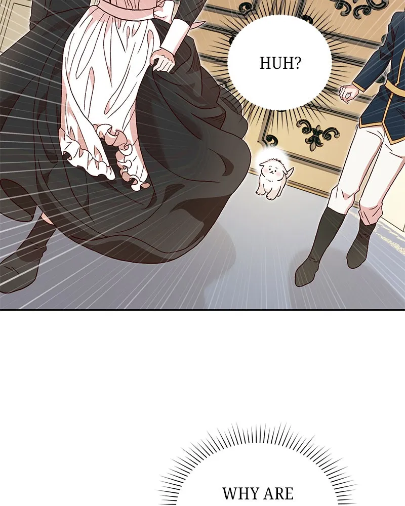 The Emperor