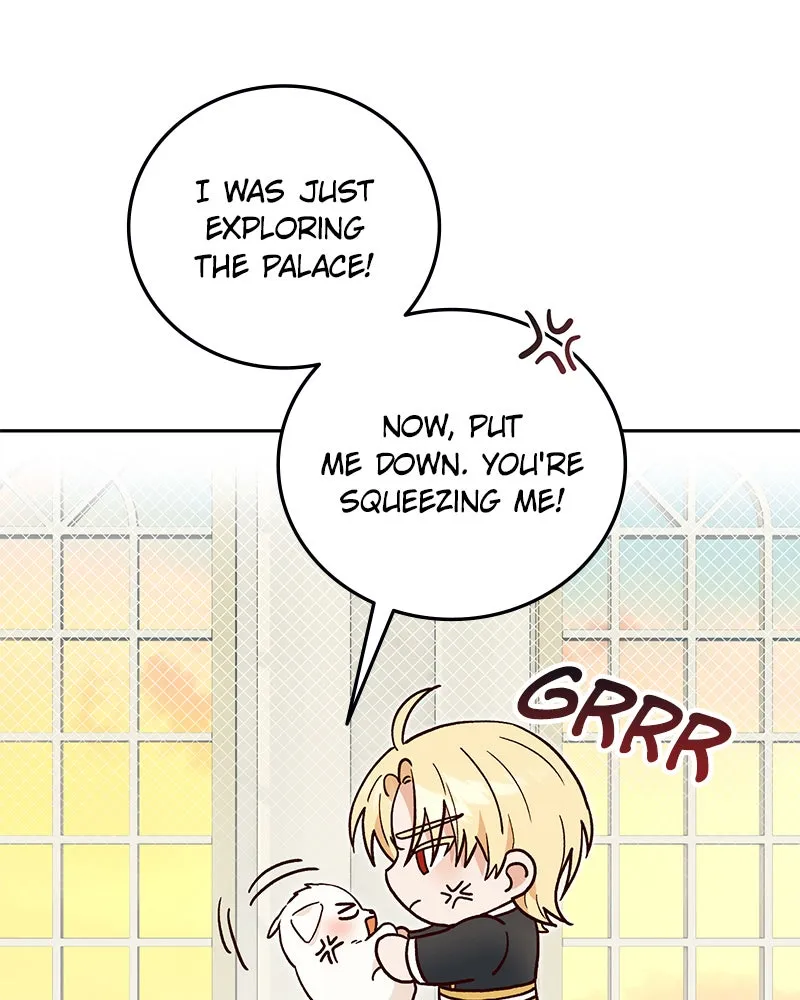 The Emperor