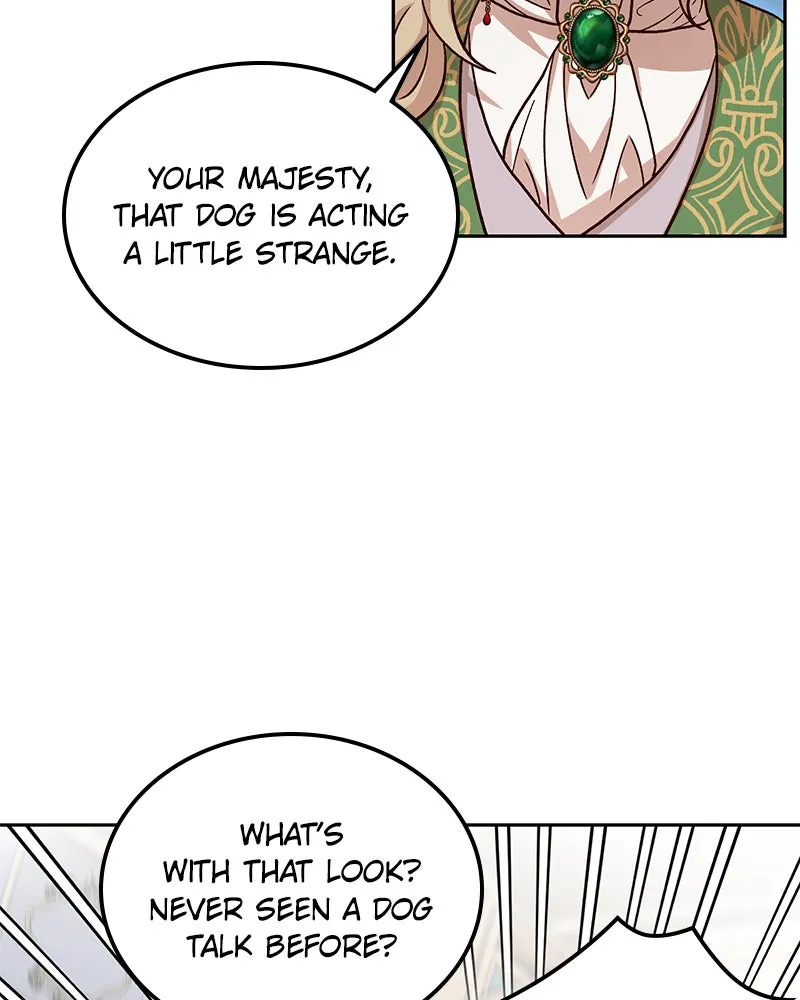 The Emperor