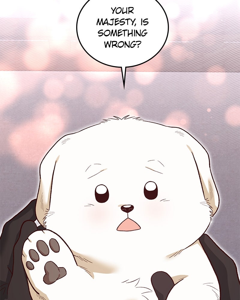 The Emperor