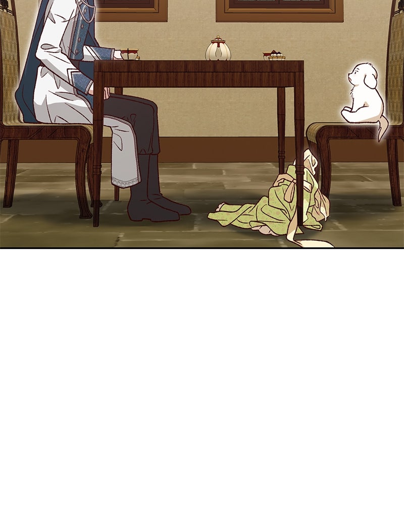 The Emperor