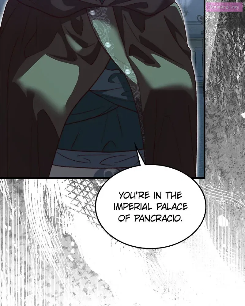 The Emperor