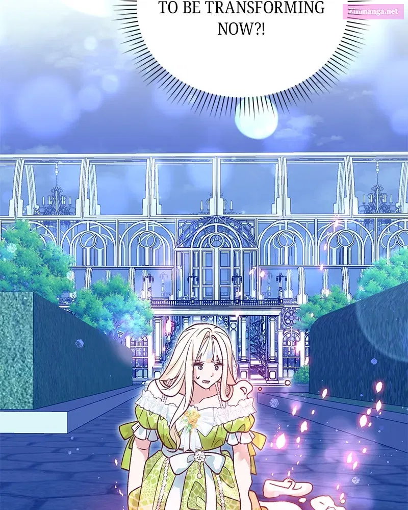 The Emperor
