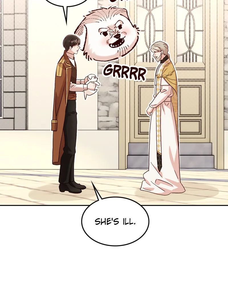 The Emperor