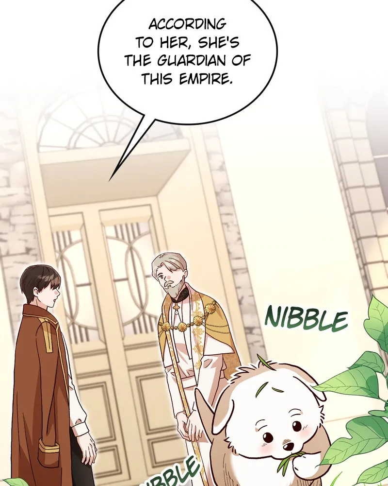 The Emperor