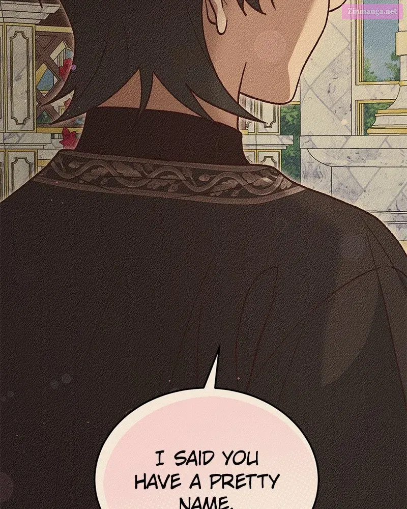 The Emperor