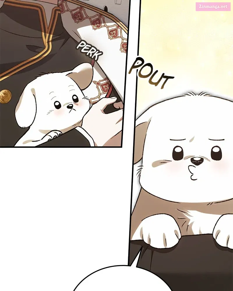 The Emperor