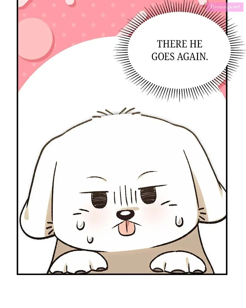 The Emperor