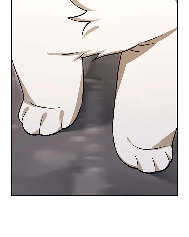 The Emperor