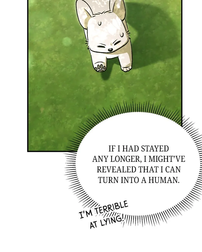 The Emperor