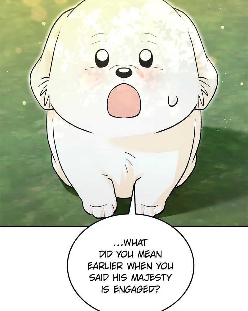 The Emperor
