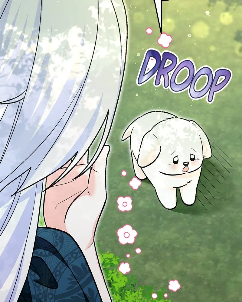 The Emperor