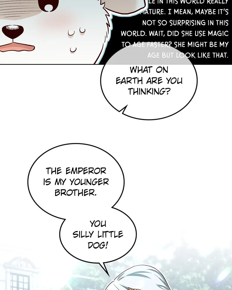 The Emperor