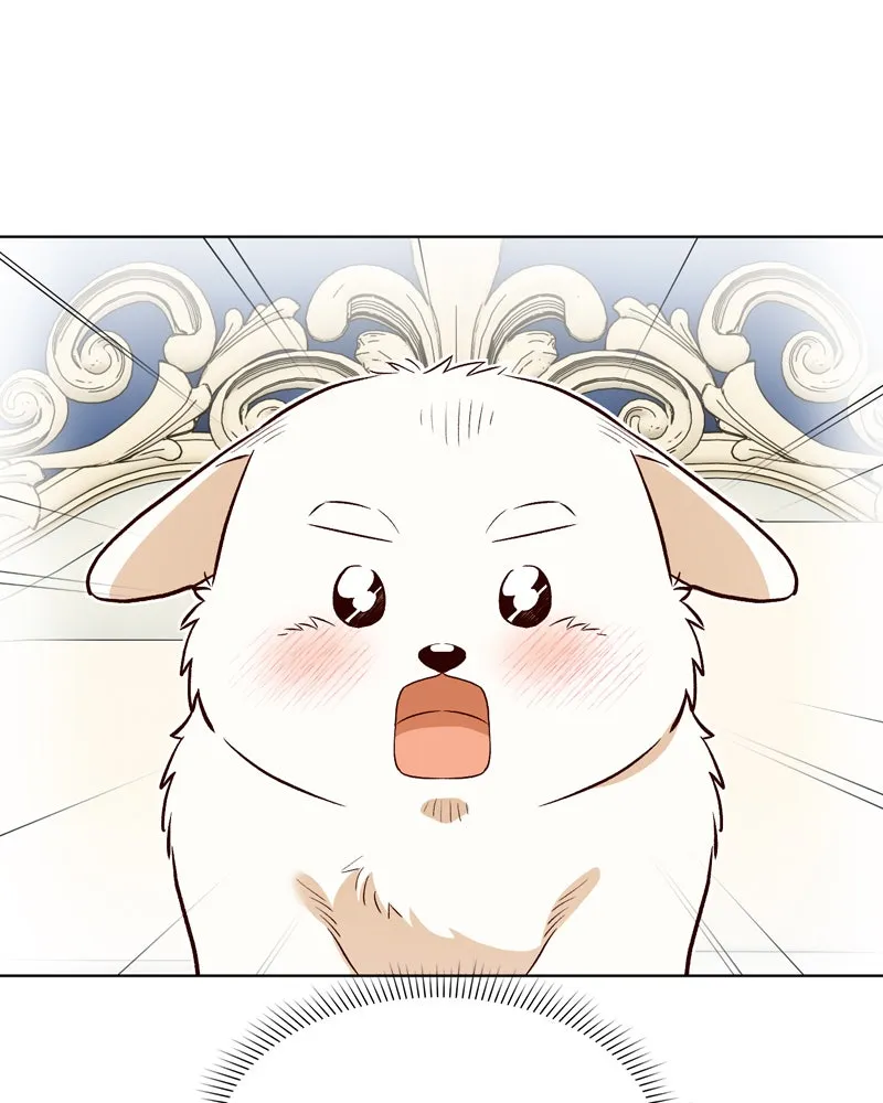 The Emperor