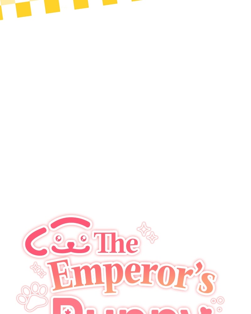 The Emperor