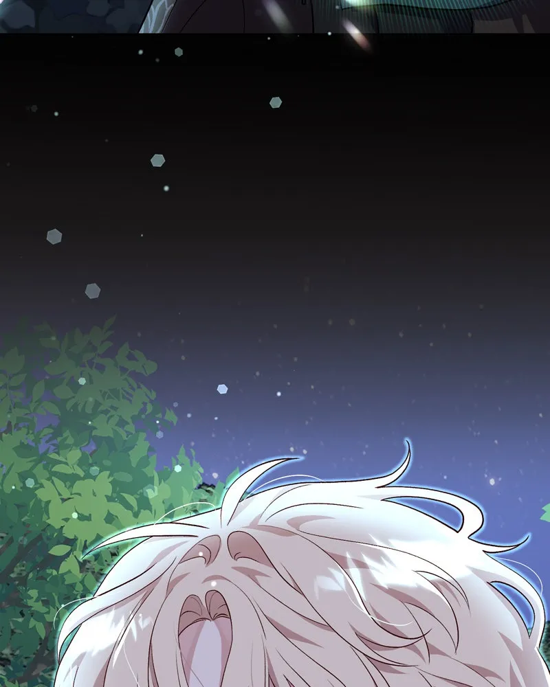 The Emperor