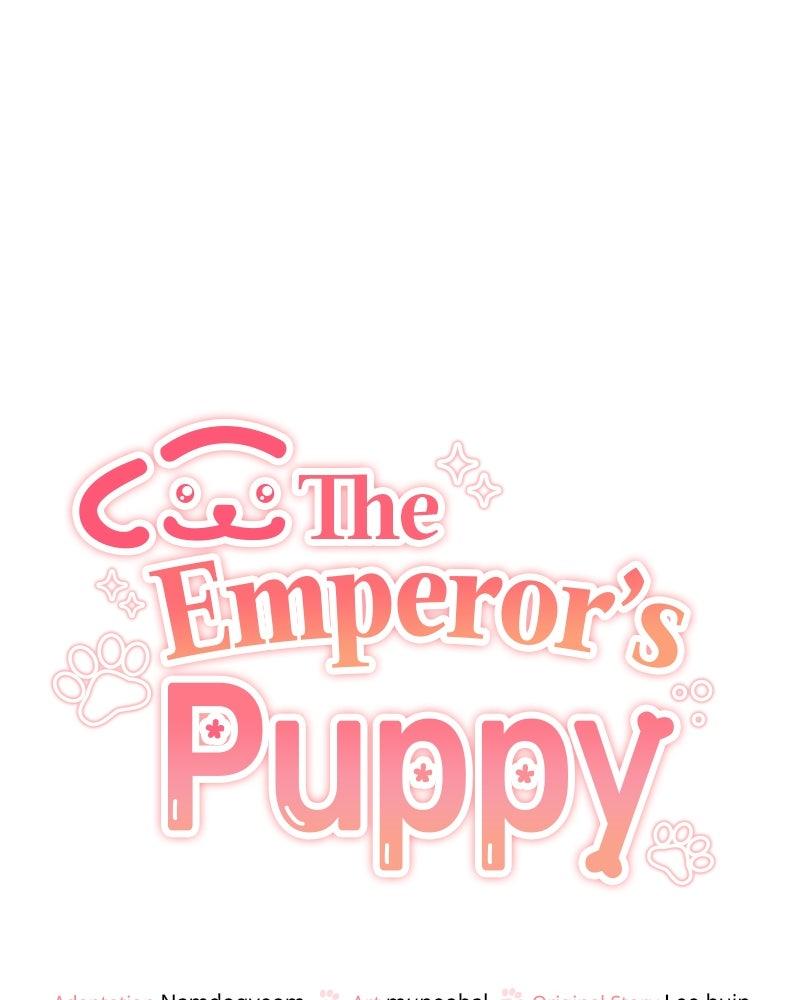 The Emperor