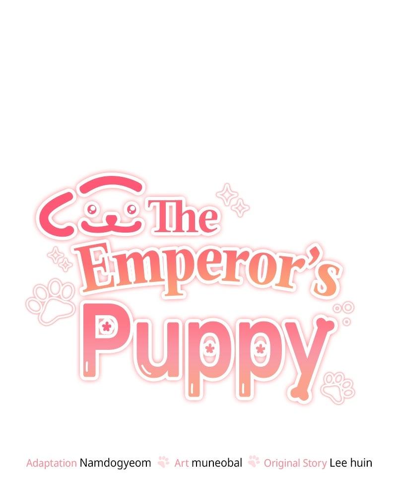 The Emperor