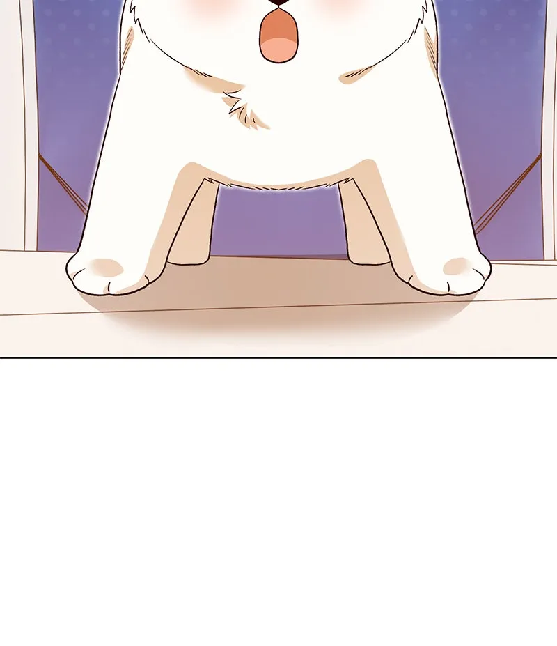 The Emperor