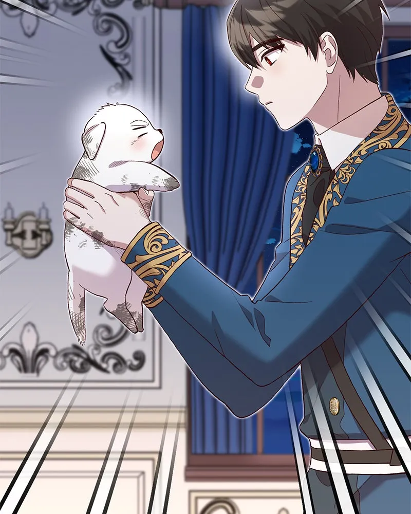 The Emperor