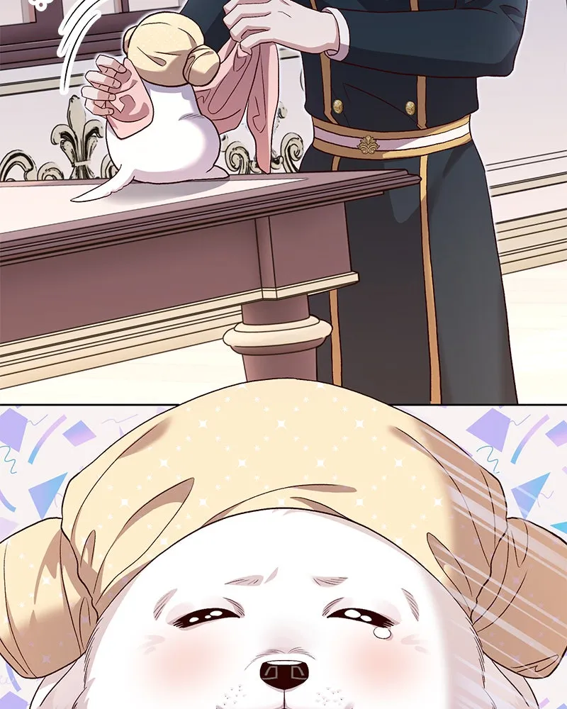 The Emperor