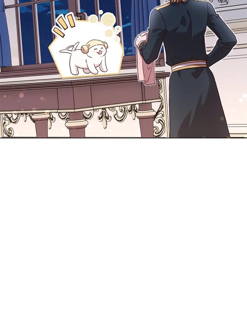 The Emperor