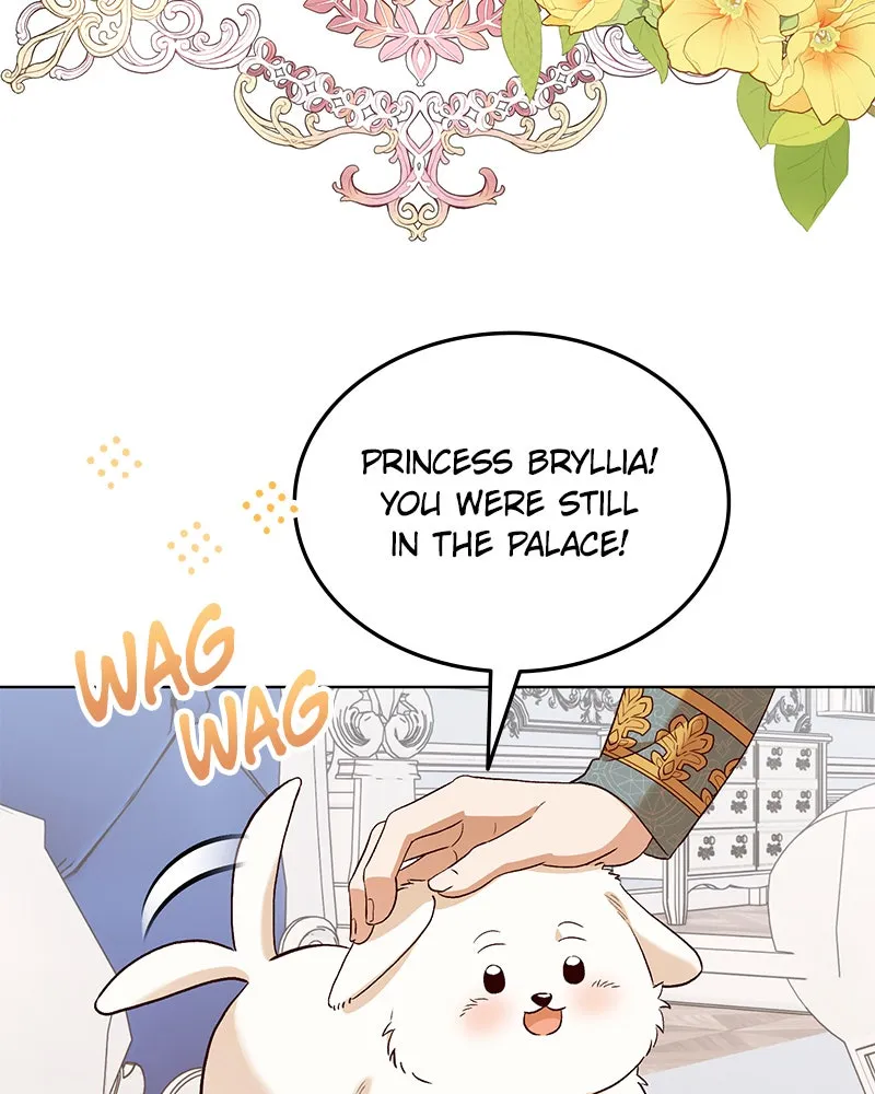 The Emperor