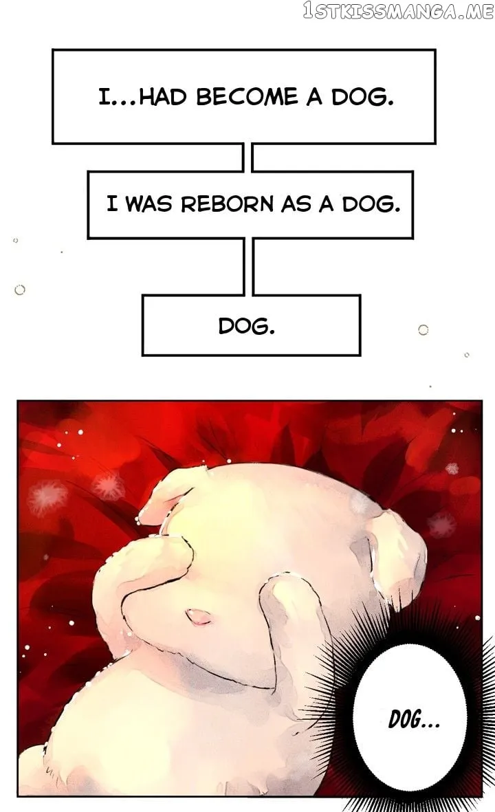 The Emperor’s Dog Chapter 0 page 11 - 
