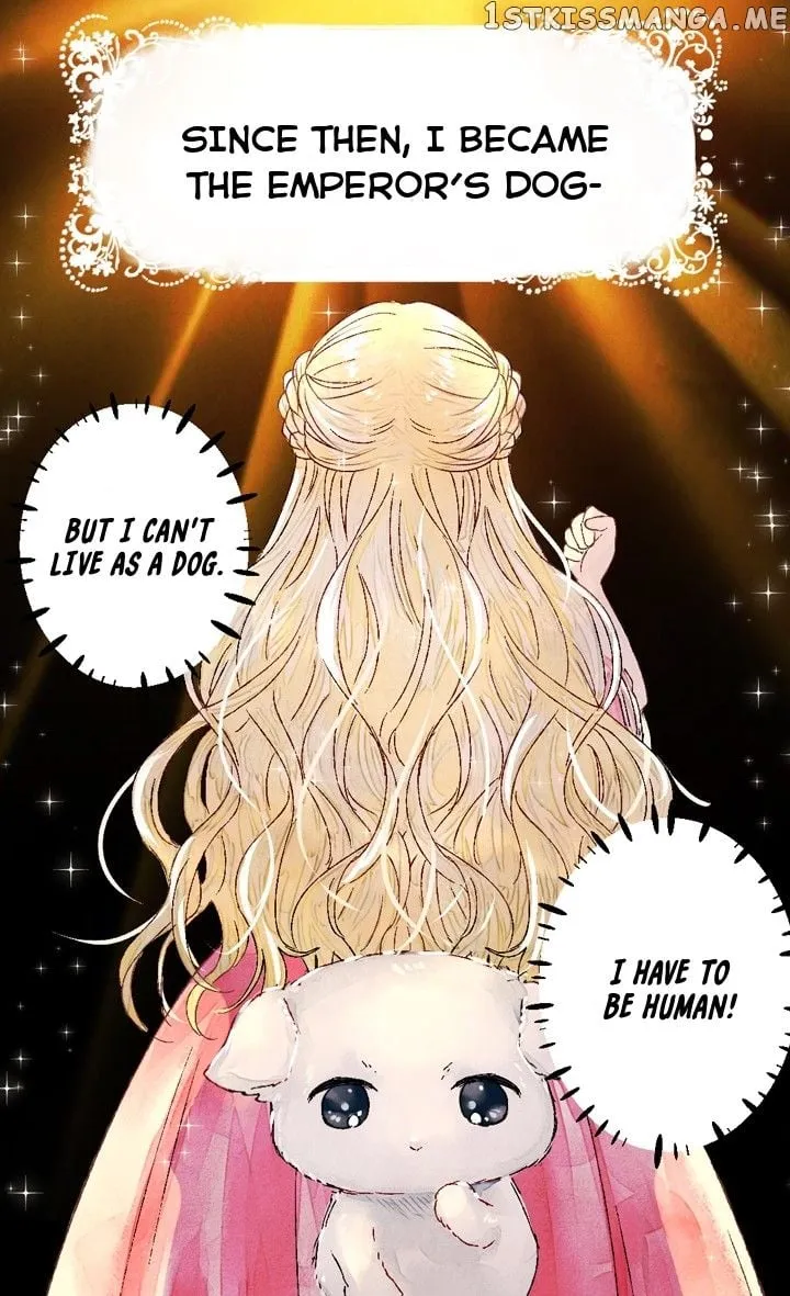 The Emperor’s Dog Chapter 0 page 19 - 