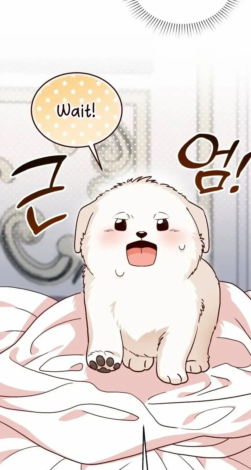The Emperor’s Dog Chapter 1 page 66 - 