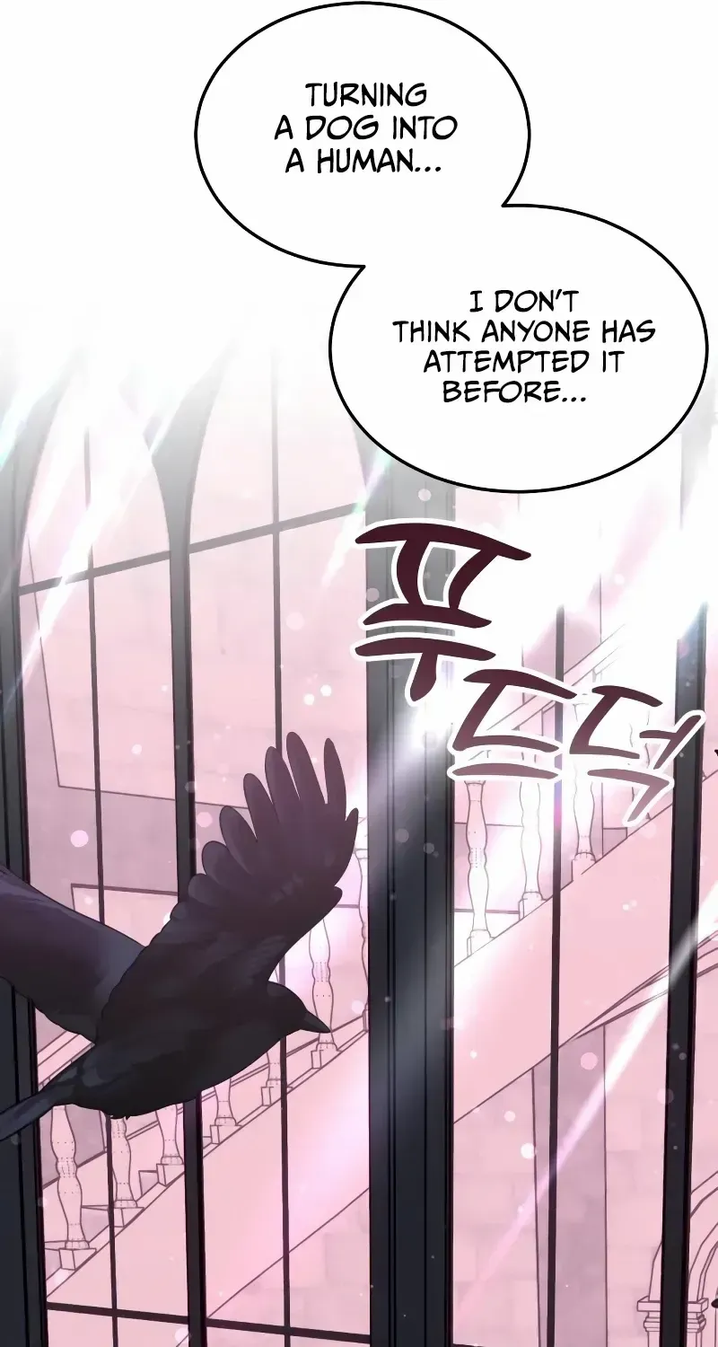 The Emperor’s Dog Chapter 10 page 18 - 