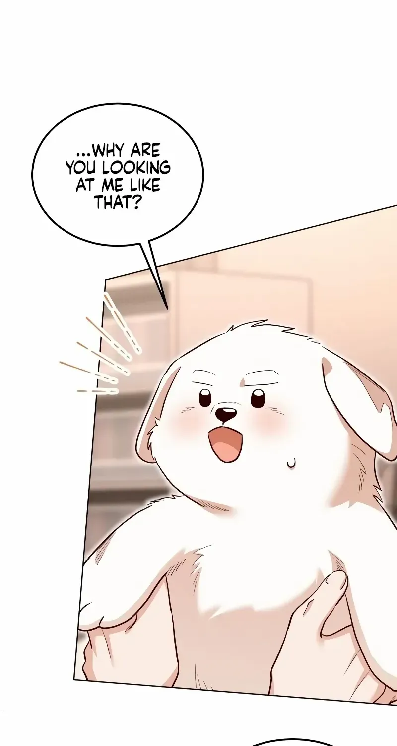 The Emperor’s Dog Chapter 12 page 20 - 