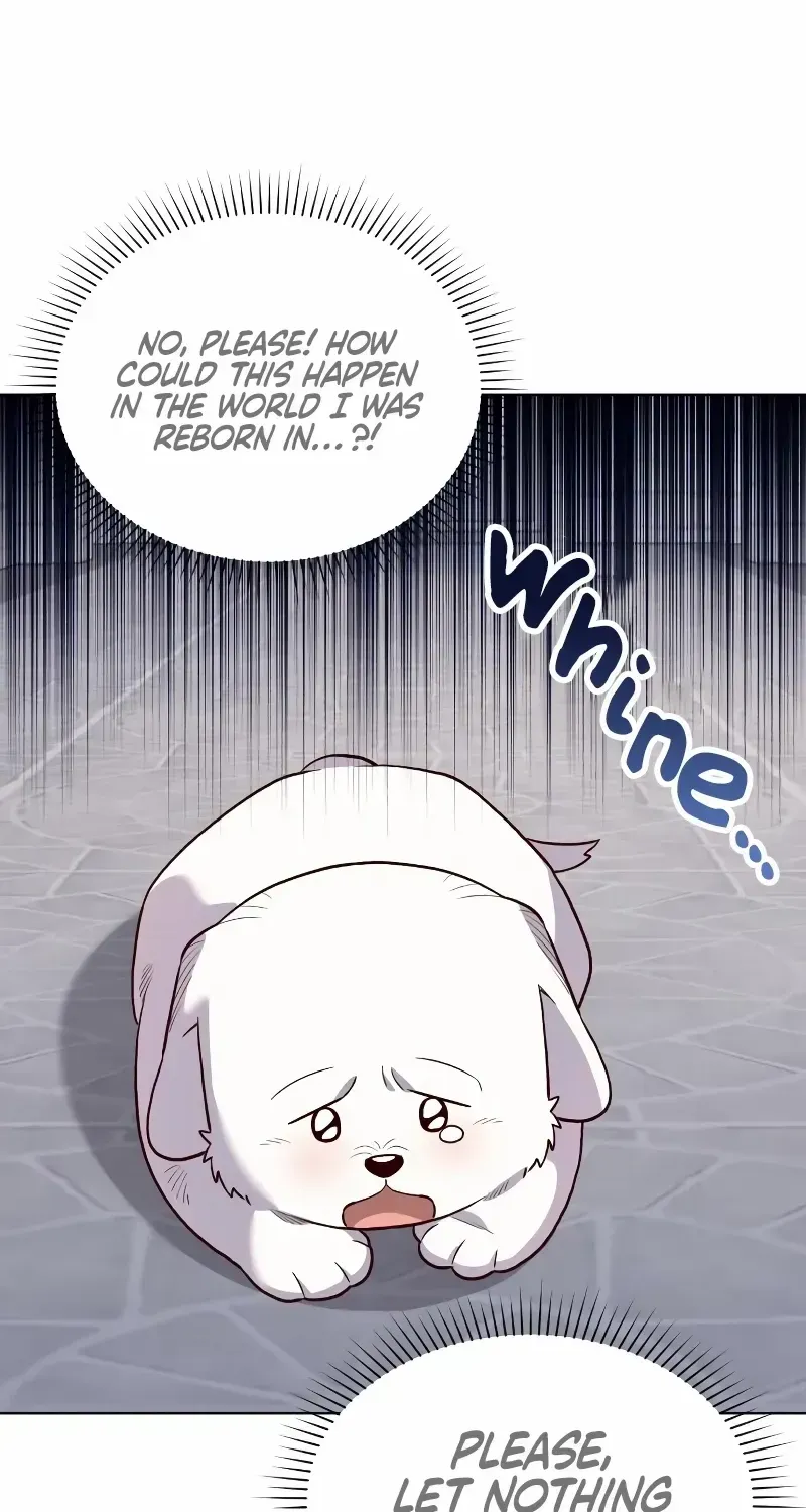 The Emperor’s Dog Chapter 12 page 75 - 