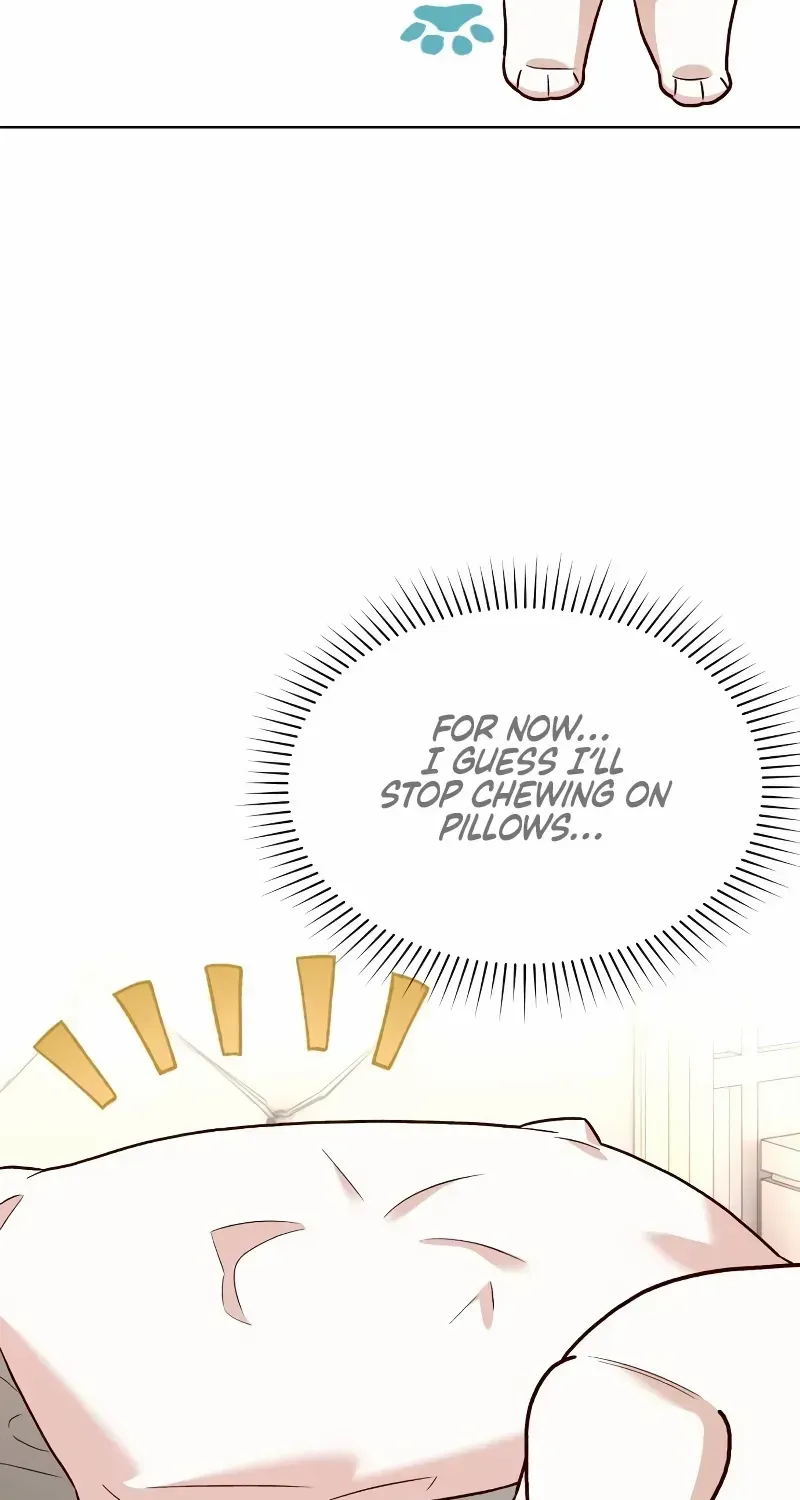 The Emperor’s Dog Chapter 14 page 66 - 