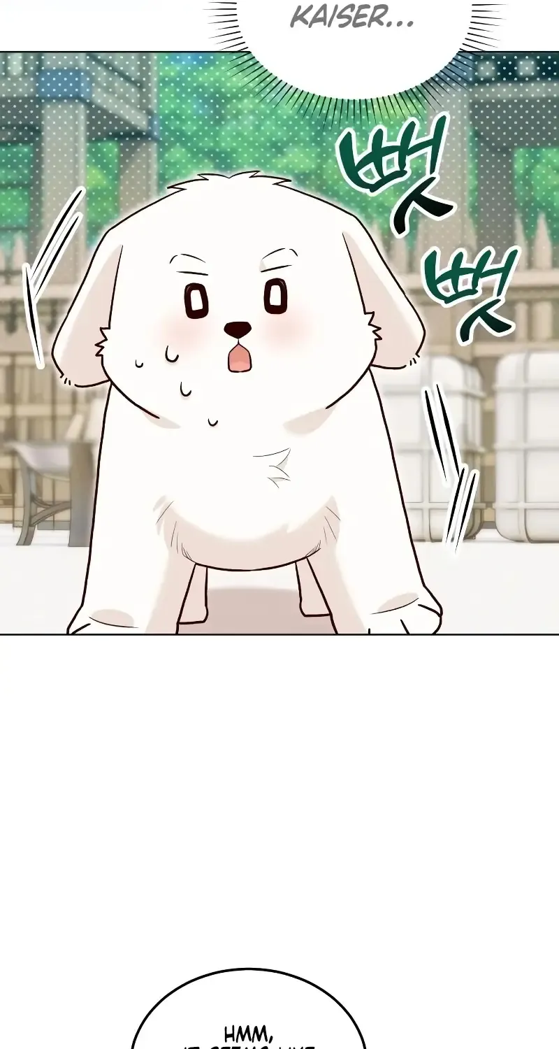 The Emperor’s Dog Chapter 17 page 37 - 