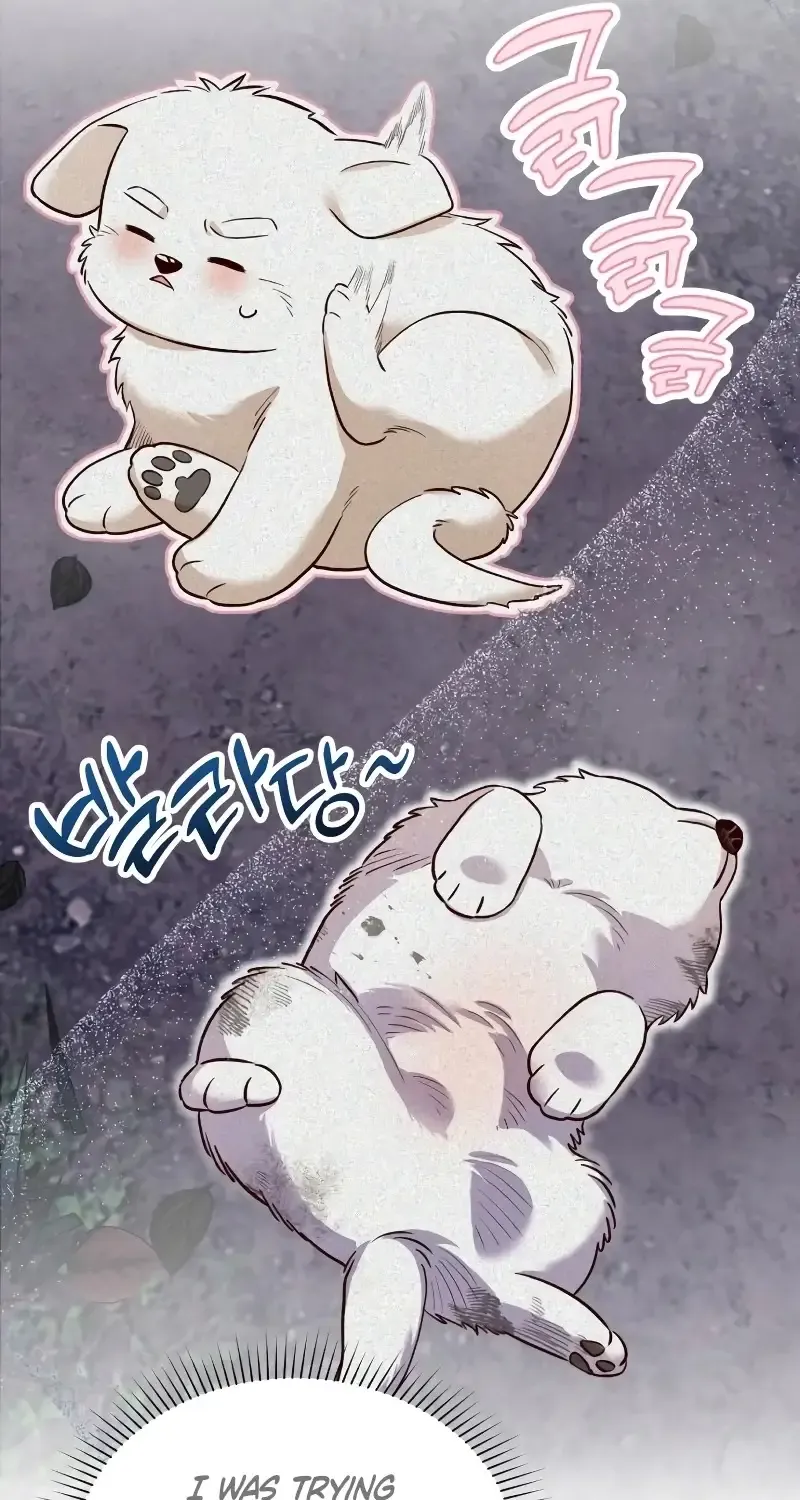 The Emperor’s Dog Chapter 17 page 55 - 
