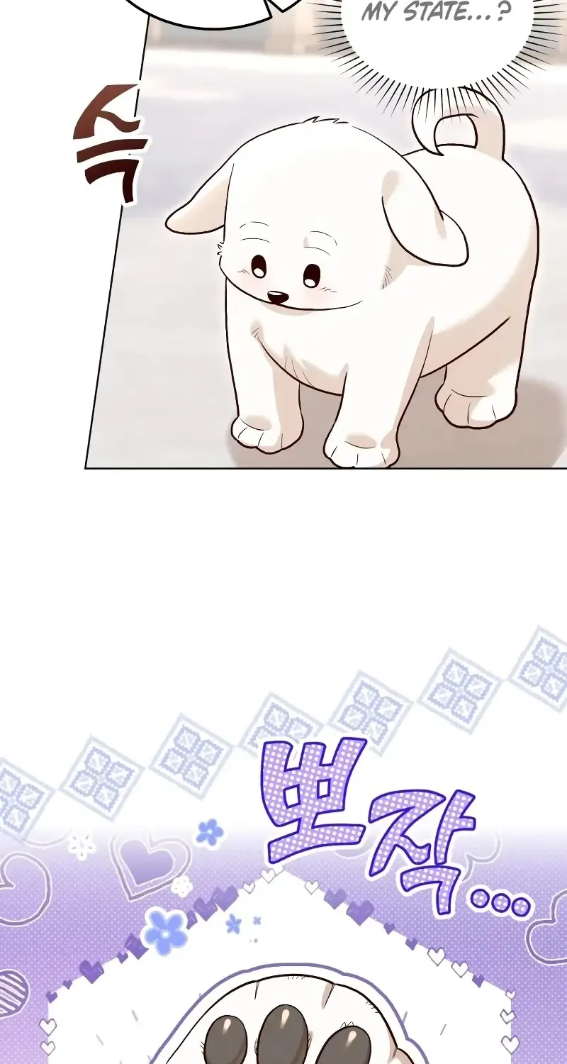 The Emperor’s Dog Chapter 18 page 41 - 