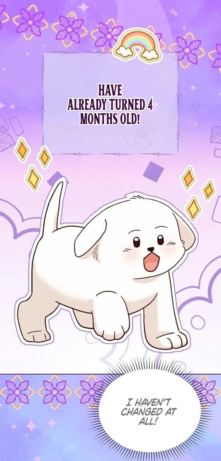 The Emperor’s Dog Chapter 19 page 61 - 