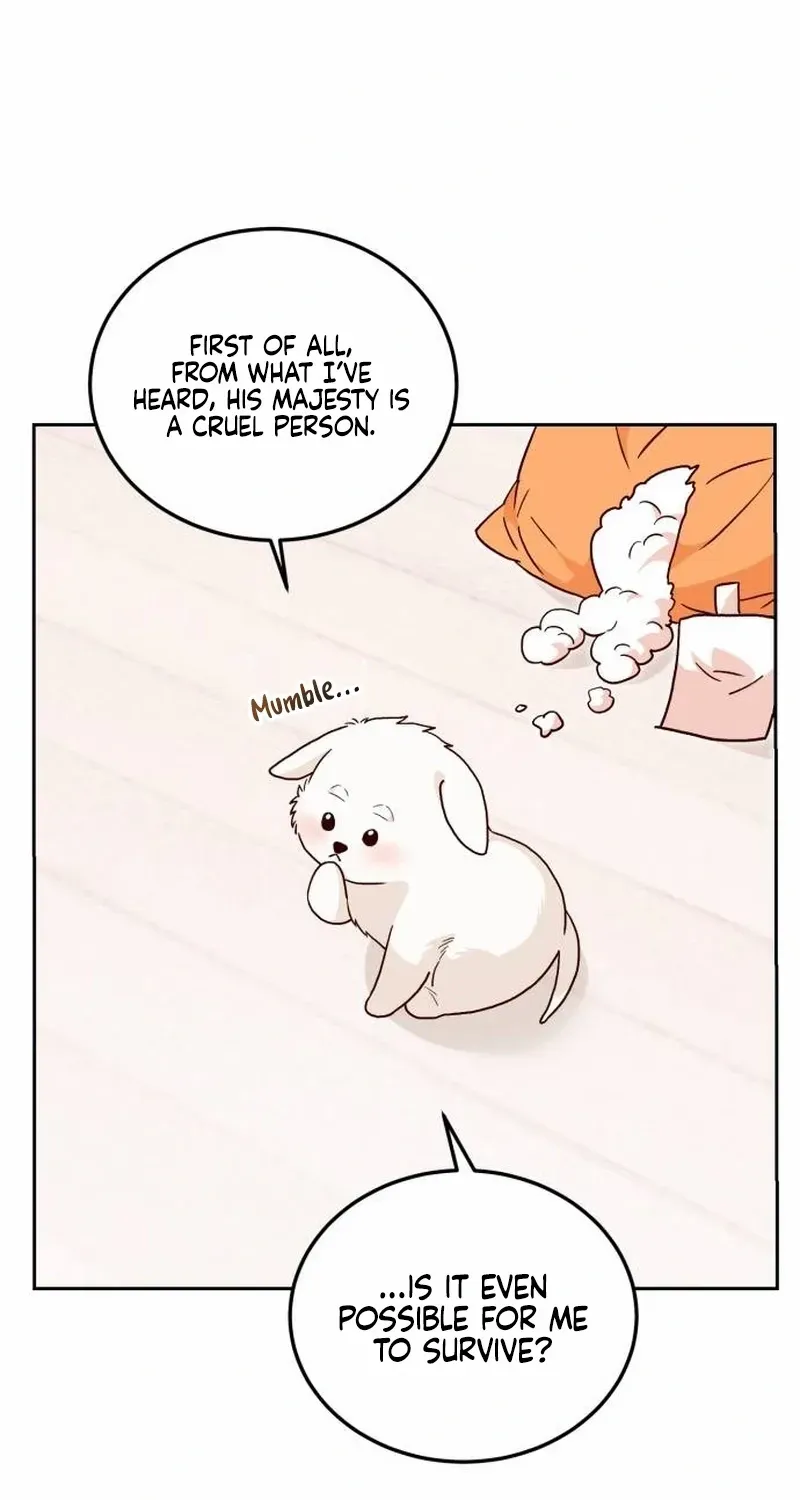 The Emperor’s Dog Chapter 2 page 37 - 